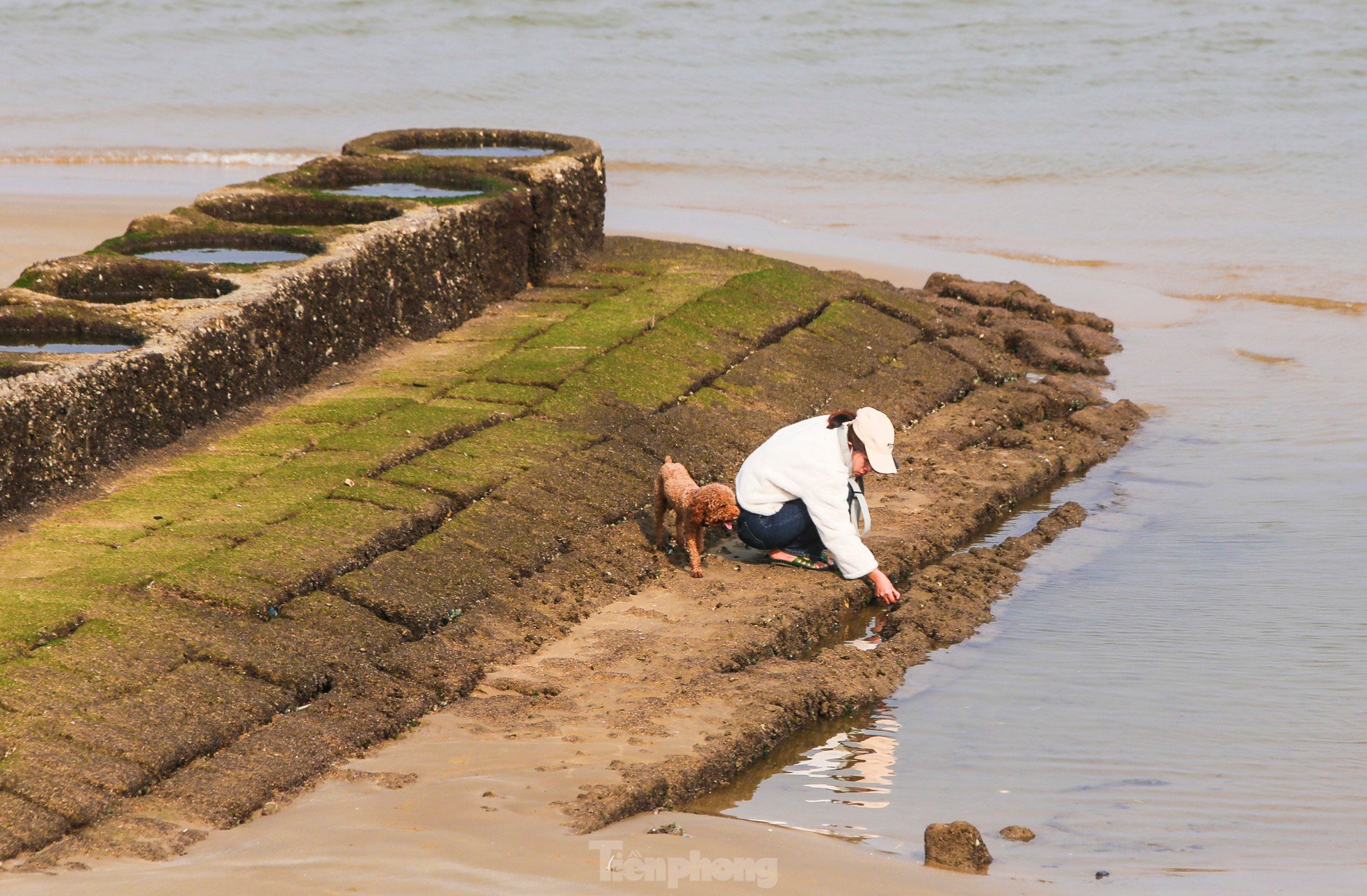 Fascinated by the lush green moss field that first appeared in the 'heavenly palace' of Ha Tinh photo 11