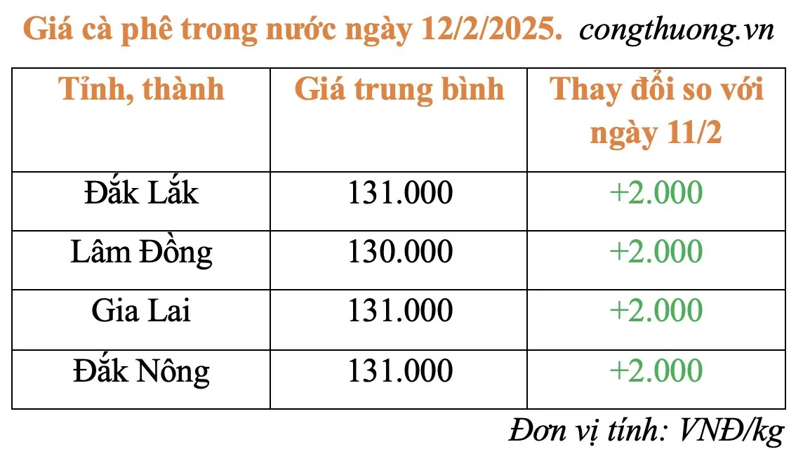 Giá cà phê hôm nay 12/2/2025: