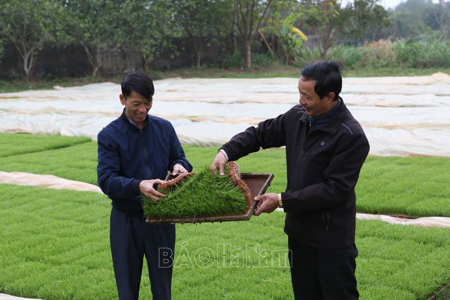 Chau Giang promotes mechanization of agricultural production