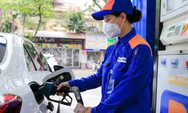 Taxe de protection environnementale sur l'essence, l'huile et la graisse