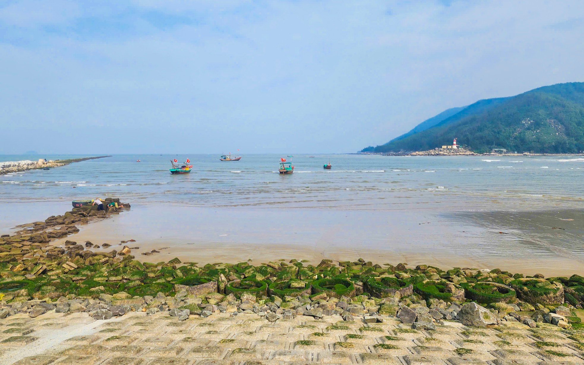 Fascinated by the lush green moss field that first appeared in the 'heavenly palace' of Ha Tinh photo 18