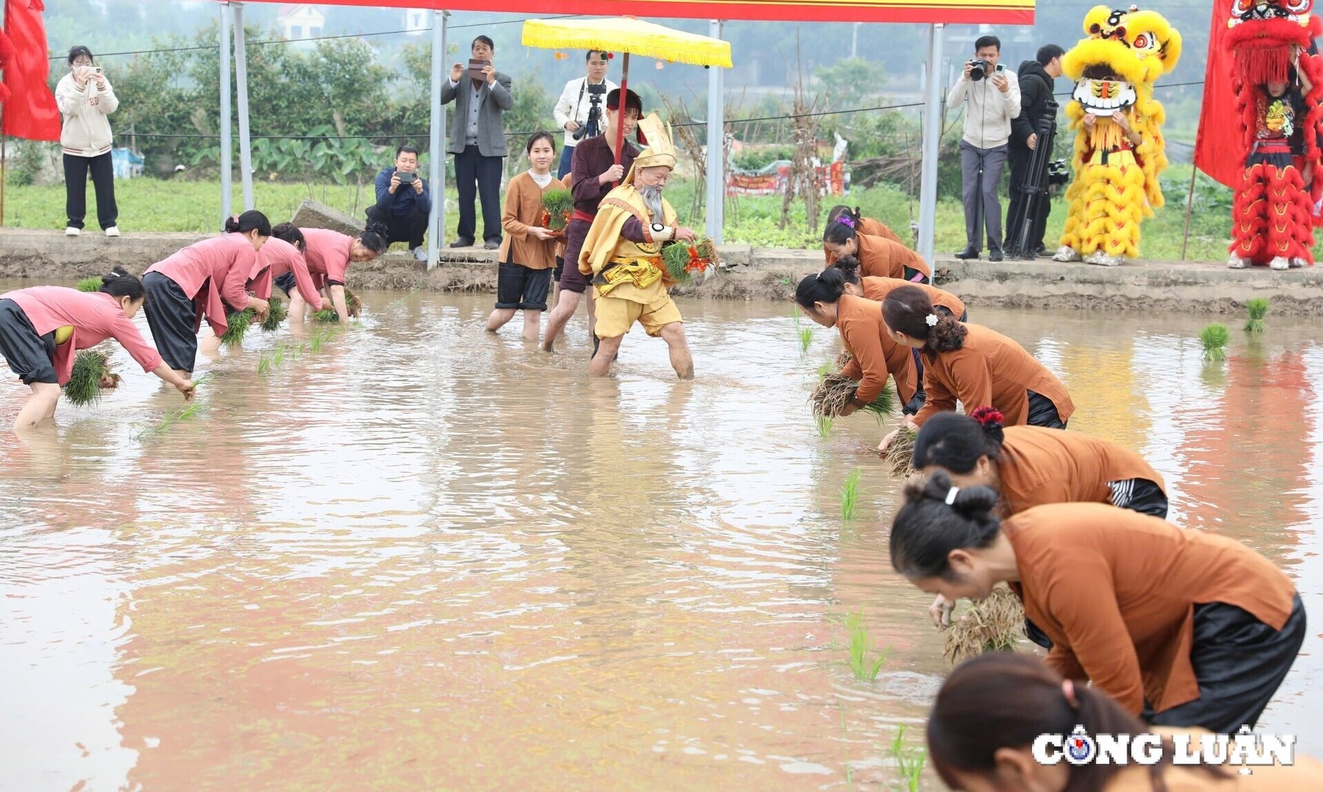 Visit Phu Tho to see the ancient relics of King Hung and his people growing rice at the spring festival. Image 4