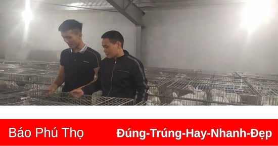 Toàn tỉnh có gần 8.000 cơ sở chăn nuôi động vật đặc sản, đặc trưng