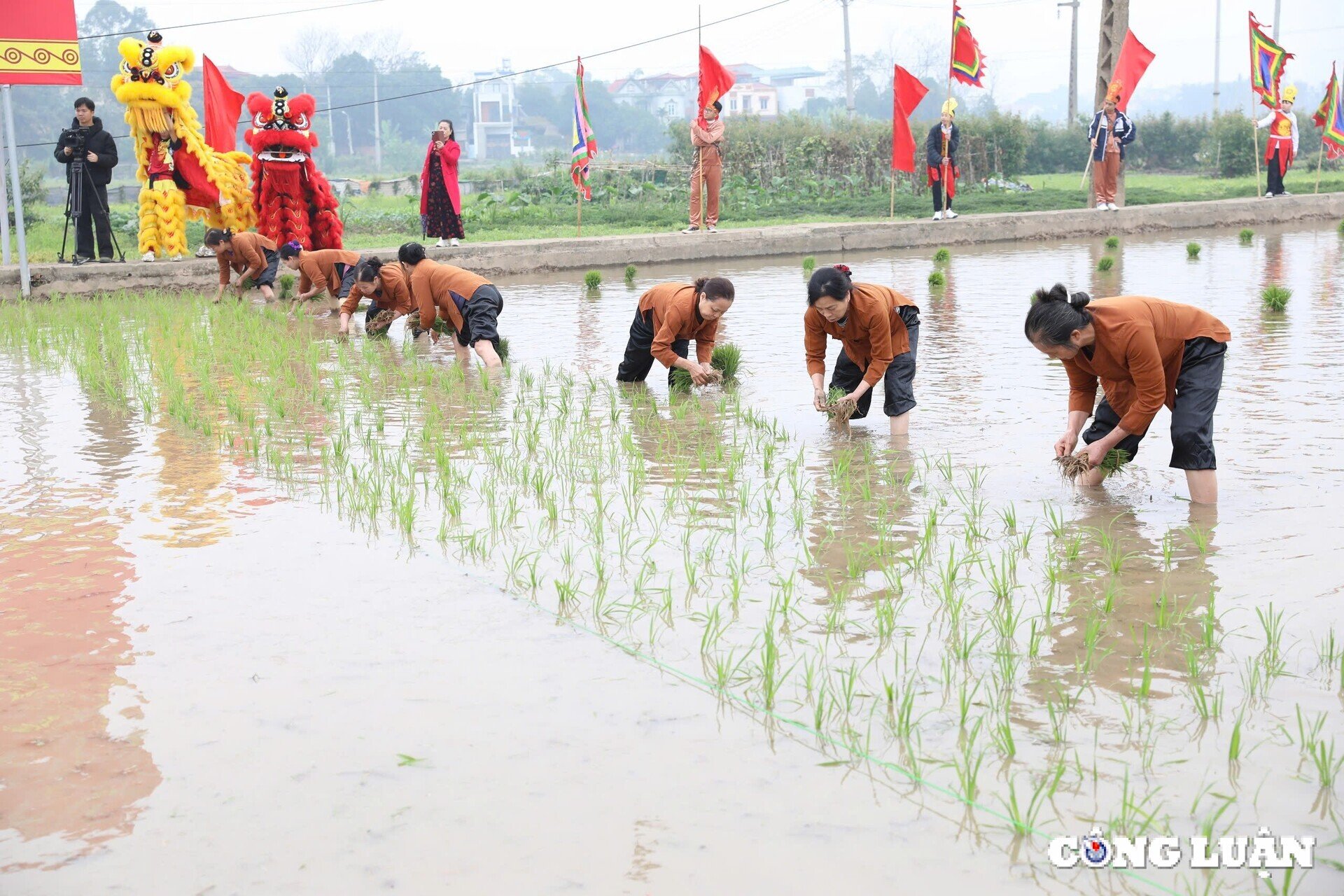 Visit Phu Tho to see the ancient relics of King Hung and his people growing rice at the spring festival. Image 5