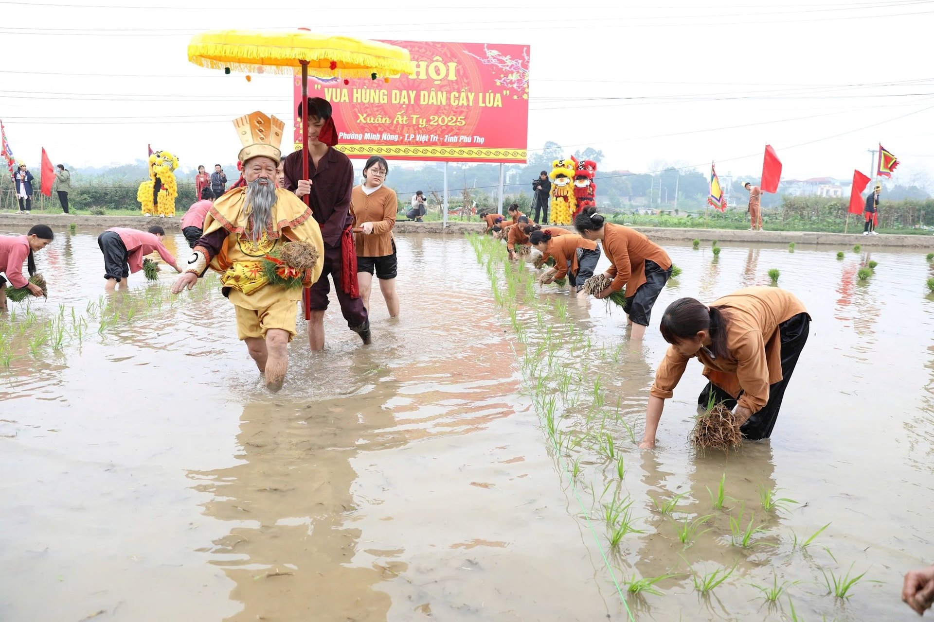 តាម​ព្រេង​និទាន​ថា នៅ​សម័យ​បុរាណ មនុស្ស​មិន​ចេះ​ភ្ជួរ និង​ដាំ​ស្រូវ​ទេ គឺ​រស់នៅ​តែ​លើ​ផលិតផល​ធម្មជាតិ។ ដីមាត់ទន្លេសម្បូរទៅដោយសារធាតុ alluvium រាល់ពេលដែលទឹកជន់ឡើង។ ស្ដេច​ហាំង​ឃើញ​ថា​ដី​នេះ​ល្អ ទើប​ទ្រង់​អំពាវនាវ​ឲ្យ​រាស្ត្រ​មក​រក​ផ្លូវ​សង់​ទំនប់​ការពារ​ប្រទេស។ ដោយឃើញមានស្រូវព្រៃដុះច្រើន ស្តេចបានបង្រៀនមនុស្សឱ្យចេះថែរក្សាគ្រាប់ពូជ សាបព្រួស ហើយនៅពេលដែលសំណាបដុះពណ៌បៃតង គេអាចយកទៅដាំនៅវាលស្រែដែលមានភ្នំបាន។ ចាប់តាំងពីពេលនោះមក ជារៀងរាល់ឆ្នាំនៅដើមរដូវដាំដុះ ជនជាតិ Minh Nong ប្រារព្ធពិធី Tich Dien (ទៅវាលស្រែ) ដើម្បីឧទ្ទិសកុសលផលបុណ្យ។