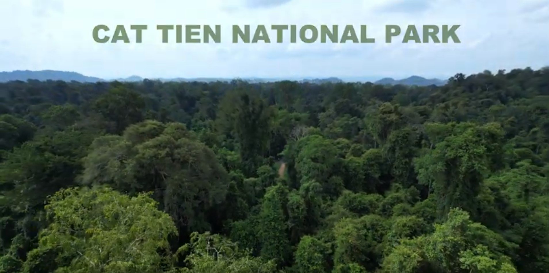 Le charme du Vietnam [Parc national de Cat Tien]