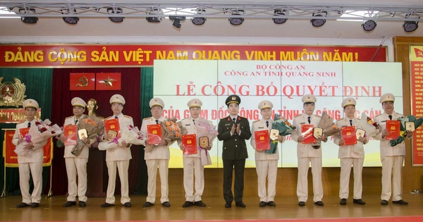 9 dirigeants et commandants du département de police provincial de Quang Ninh ont demandé une retraite anticipée