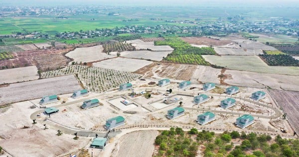 The whole Gia Lai village raises swallows, which are billion-dollar birds. Just look out into the yard and you'll see the billionaire farmer.