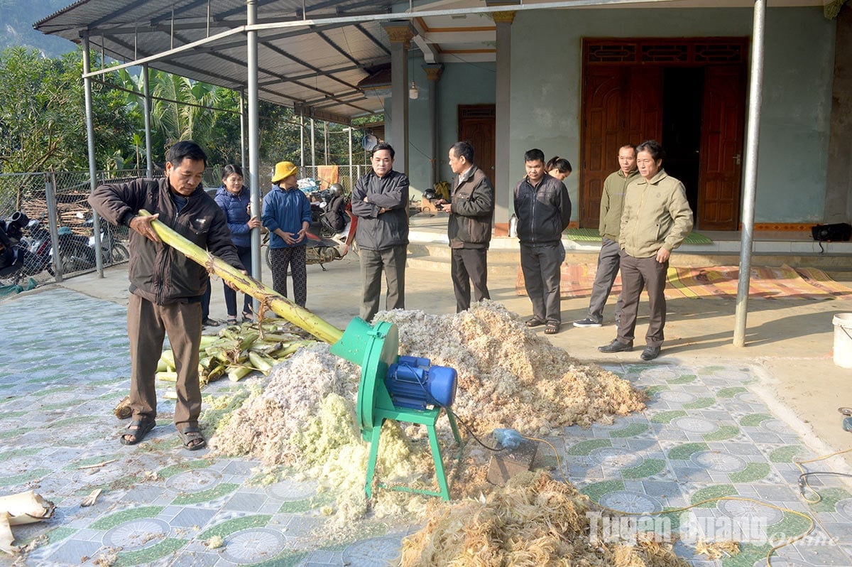 ส่งเสริมการผลิตและการใช้ปุ๋ยอินทรีย์ : เพื่อการเกษตรที่ยั่งยืน