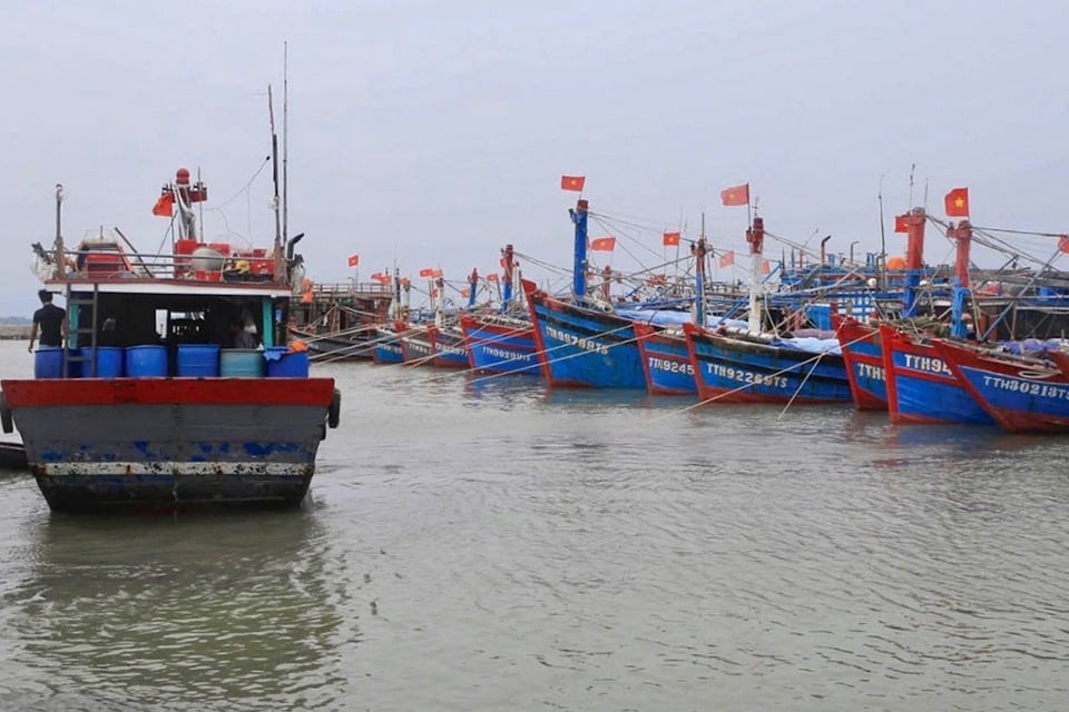 Barcos anclados en el puerto central.