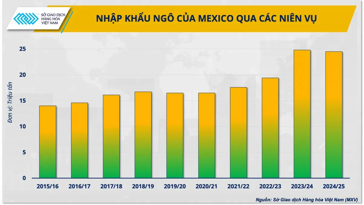 Thị trường ngô thế giới 2025: Thách thức song hành cùng cơ hội