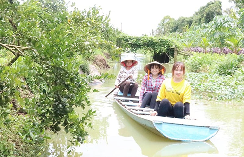 Lai Vung district exploits and effectively develops local tourism