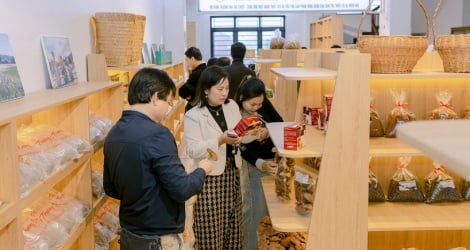 Quang Tri allocates funds to support small and medium enterprises