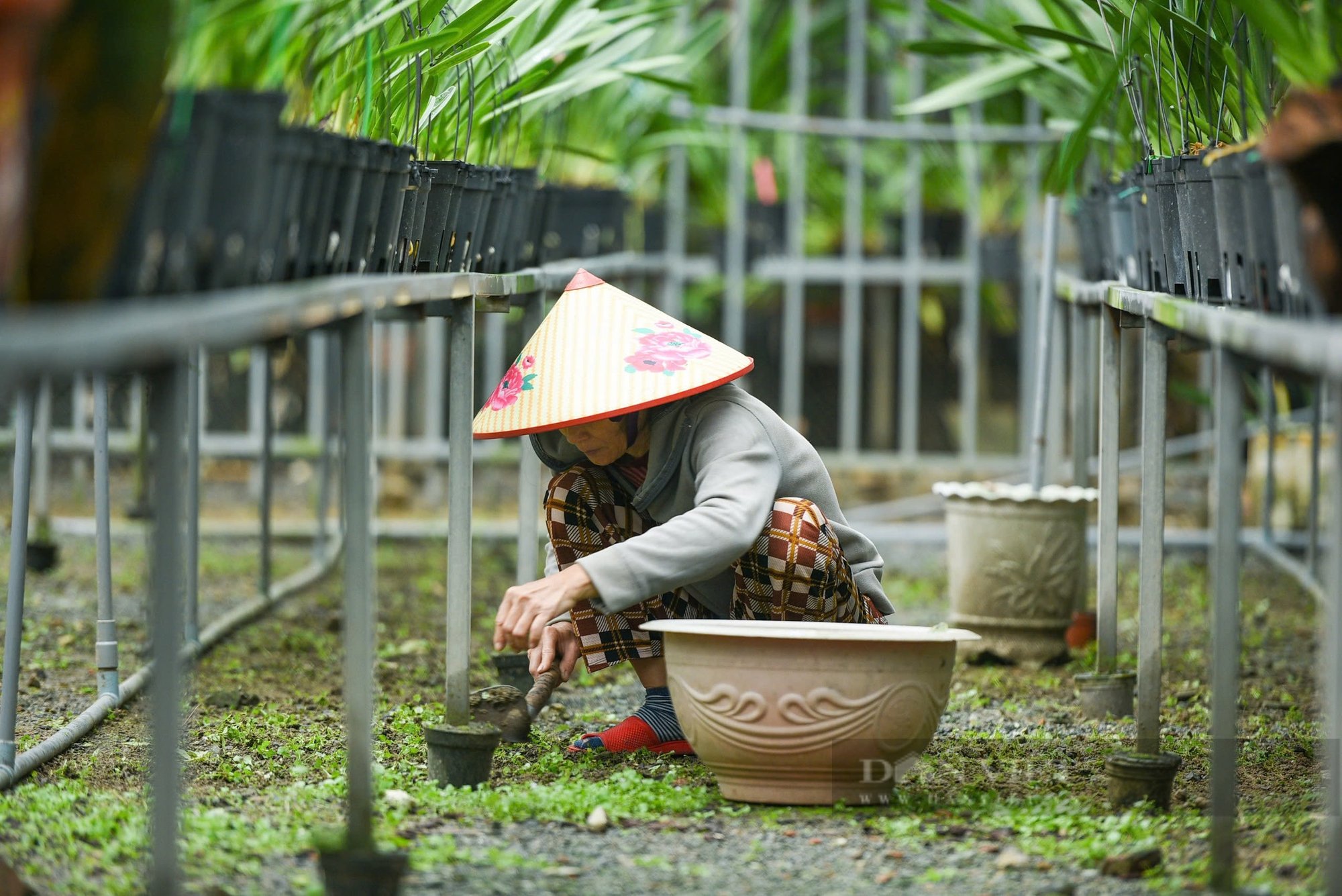 Kỷ nguyên vươn mình, phát triển của nông nghiệp Việt Nam - Ảnh 23.