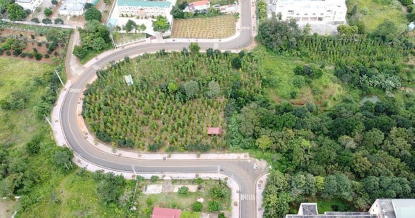 ¿Qué dicen las autoridades de Dak Nong sobre la carretera en forma de U?