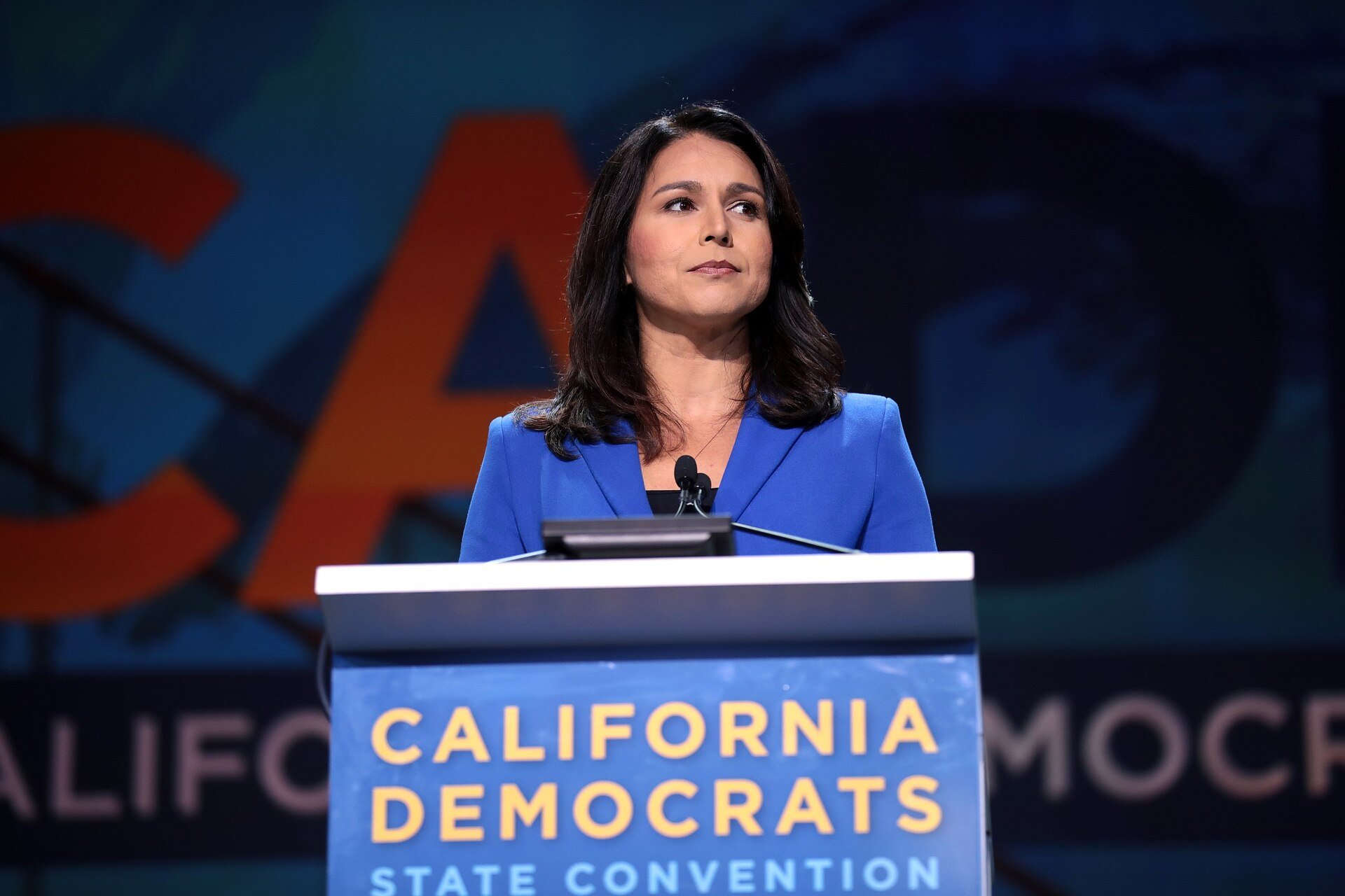 tulsi gabbard approved as national police chief pic 1