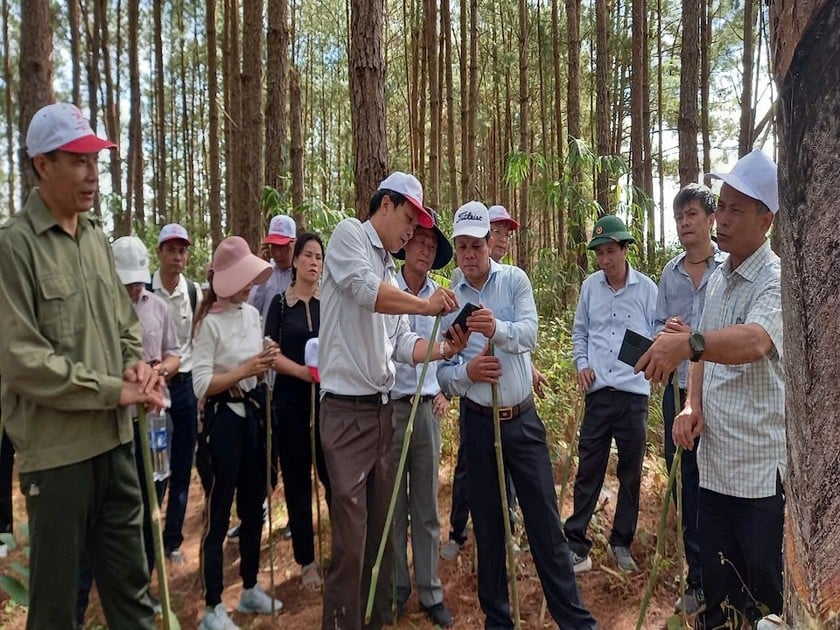 Phó Bí thư Tỉnh ủy Kon Tum Nguyễn Đức Tuy cùng đoàn công tác đã trực tiếp khảo sát các điểm du lịch trên địa bàn huyện Tu Mơ Rông.