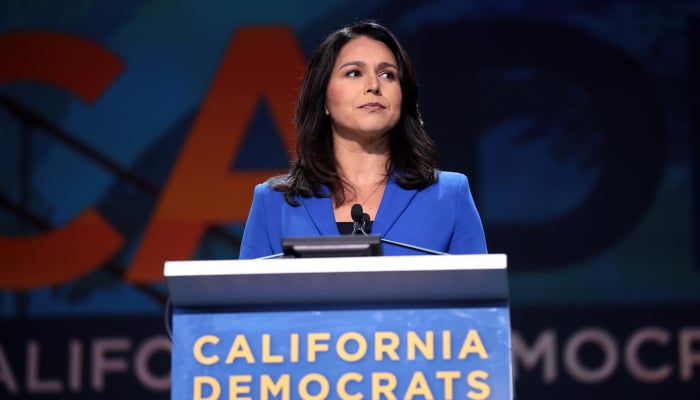 Tulsi Gabbard confirmed as US Director of National Intelligence