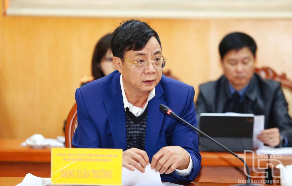 Comrade Dang Xuan Truong, Member of the Provincial Party Standing Committee, Permanent Vice Chairman of the Provincial People's Committee, spoke at the Conference.