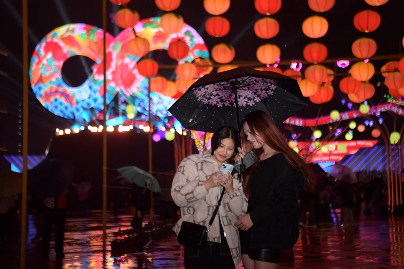 Admire the Infinity Snake Lamp at Taiwan Lantern Festival