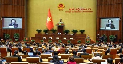 9th Extraordinary Session, 15th National Assembly: Concerns about the name of the 'extraordinary' session