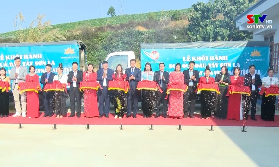 Departure ceremony of bringing strawberries onto Vietnam Airlines flights