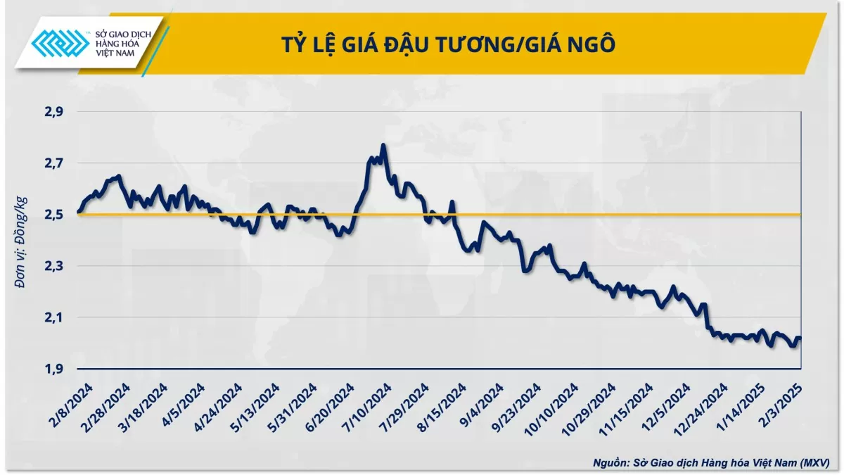 Thị trường ngô thế giới 2025: Thách thức song hành cùng cơ hội