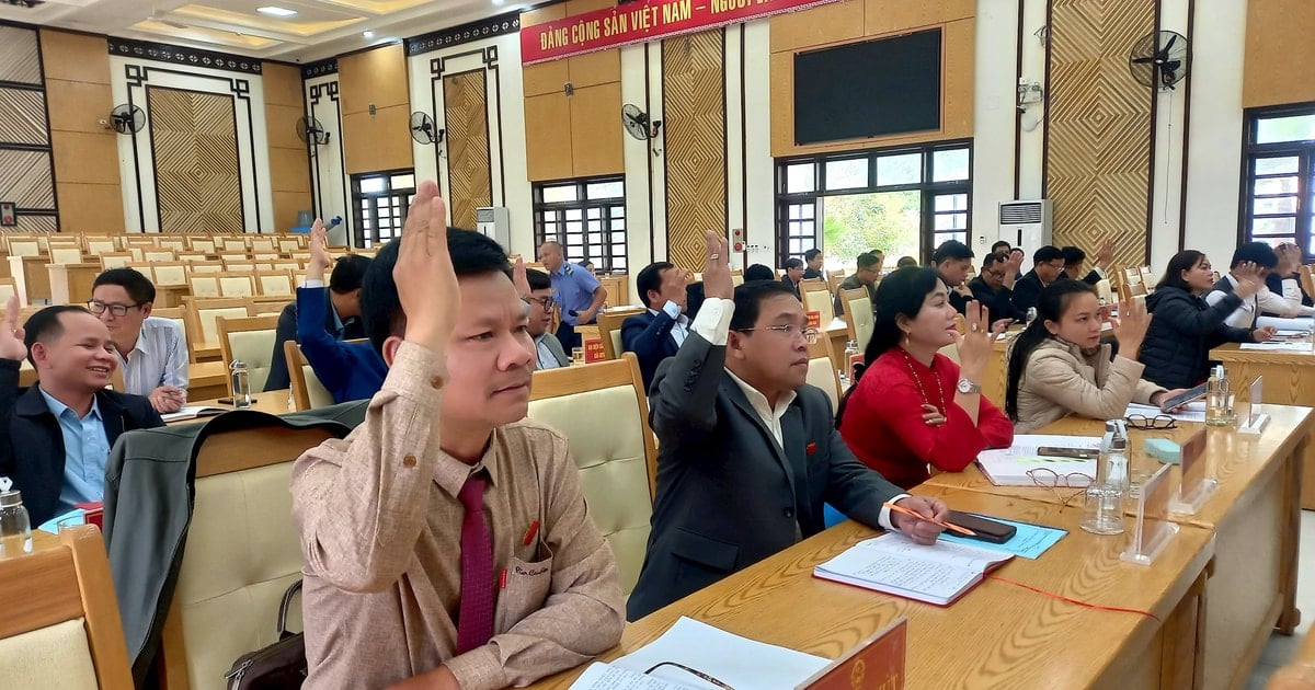 Nam Giang District People's Committee has 10 specialized departments left after the arrangement.