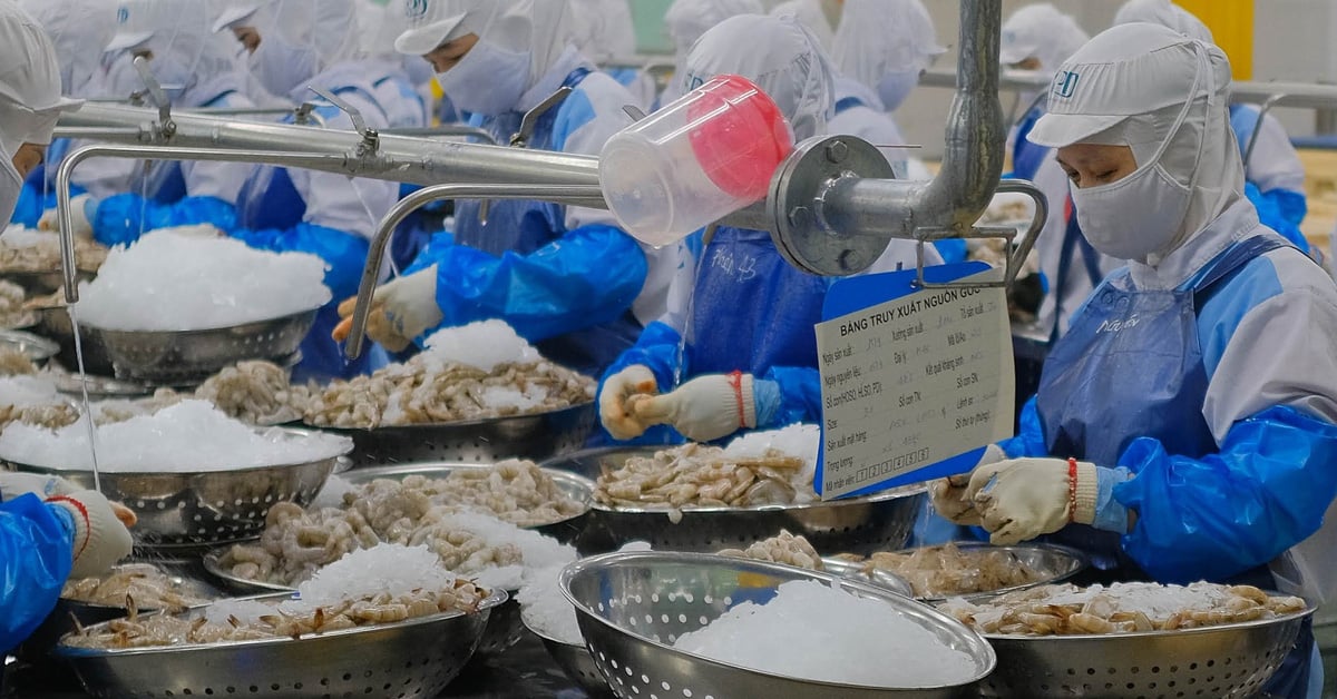 Processed shrimp and cashew nuts warned and recalled because the documents declared one way but the business did another