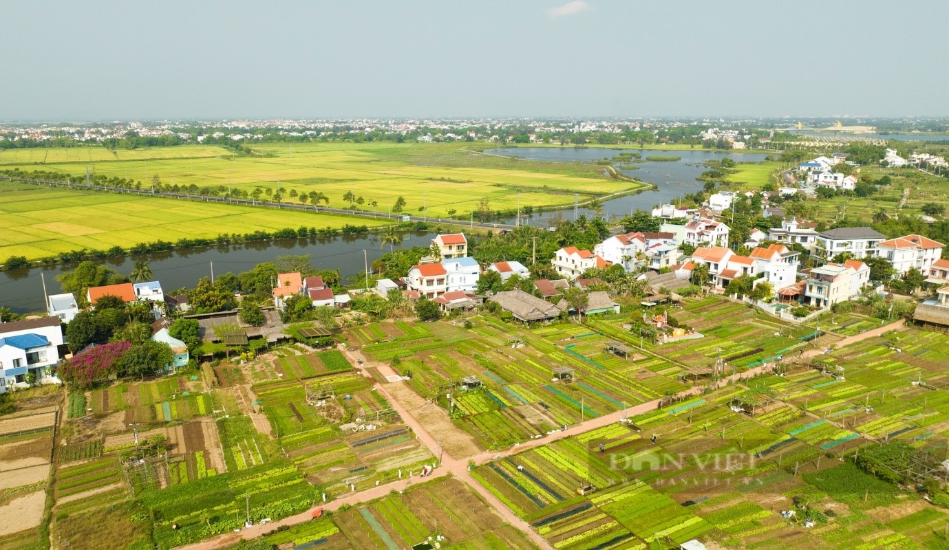 Quảng Nam: Đưa sản phẩm OCOP vào các tour du lịch, một mũi tên trúng “hai đích” - Ảnh 9.