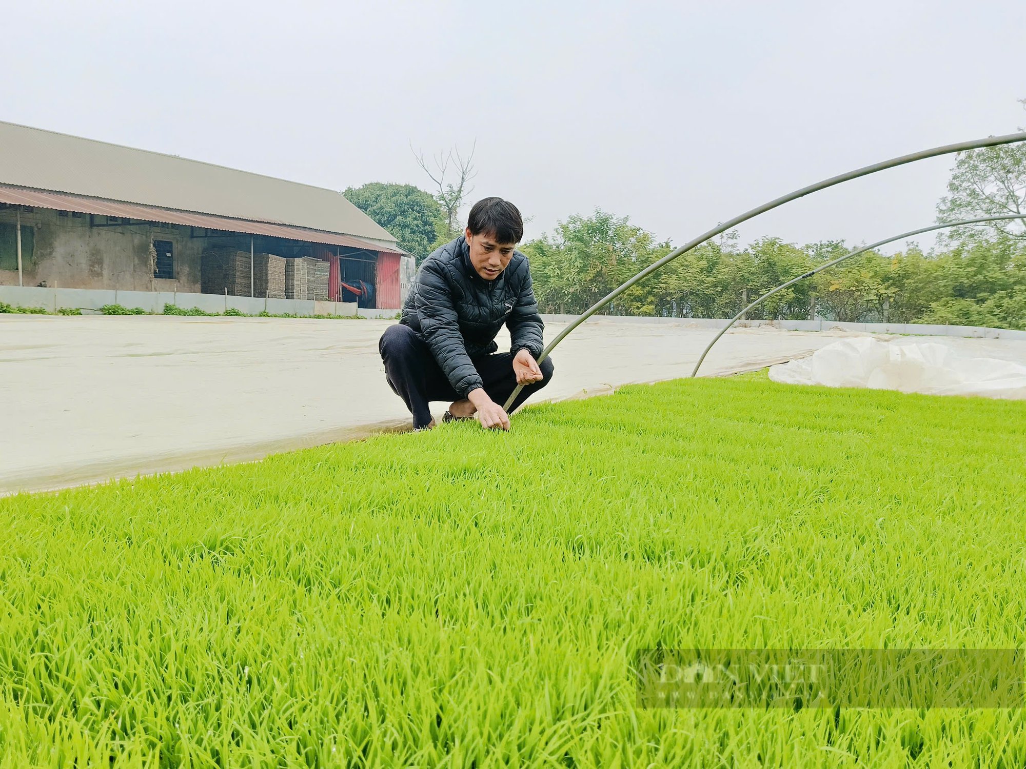Nông dân hào hứng dự hội thi gieo mạ kiểu mới giúp giảm được 50% công cấy lại tiết kiệm giống, lúa lớn nhanh - Ảnh 4.