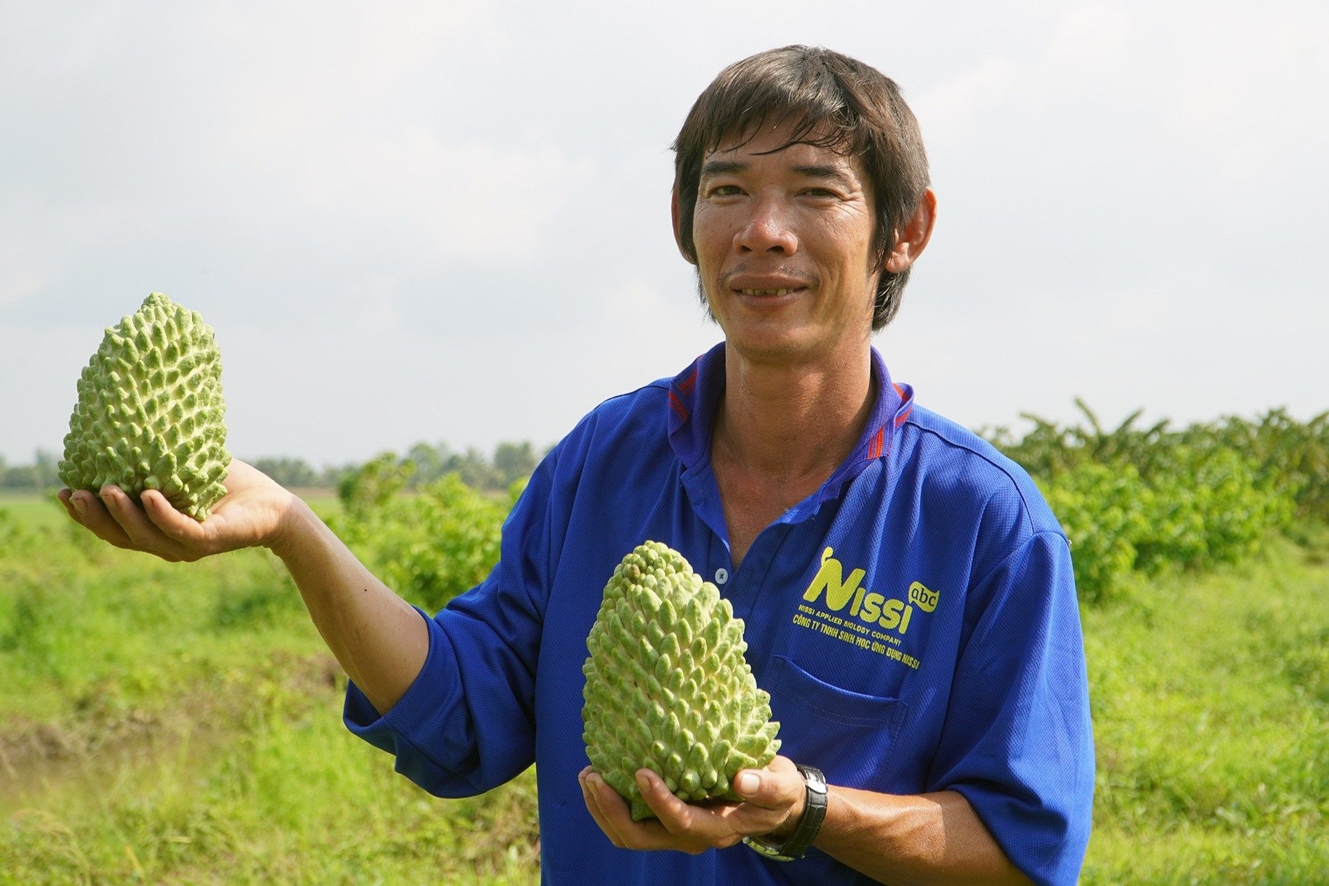 Mann aus Can Tho wird dank Durian-Zimtapfel-Garten reich; große Früchte, süßer Geschmack