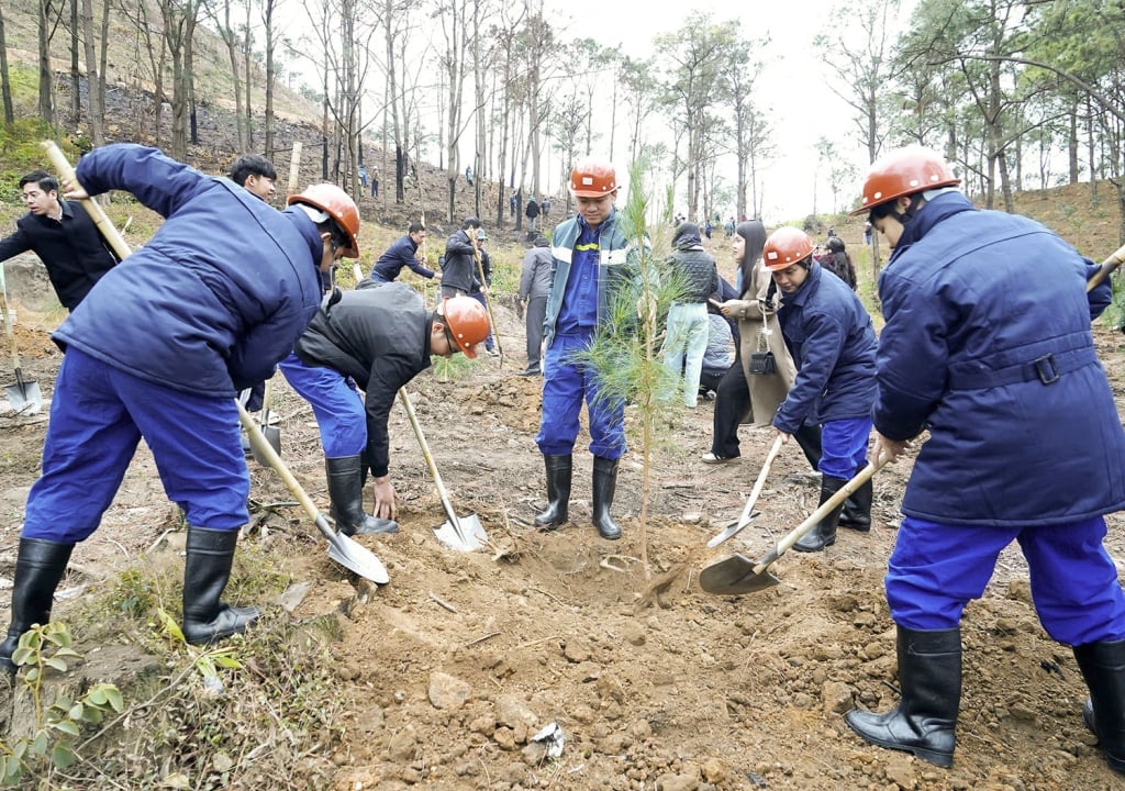 Các lực lượng phường Phương Đông, TP Uông Bí trồng rừng đầu năm 2025.