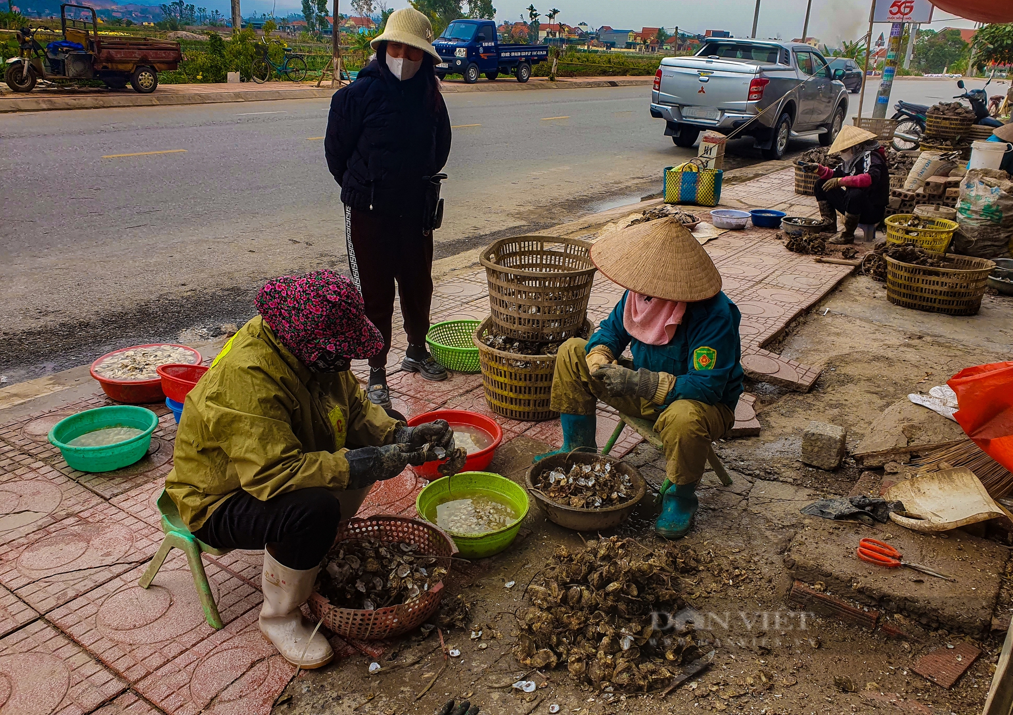 Hàu to như bàn tay, béo núc – Dân Quảng Yên được mùa sau bão - Ảnh 12.