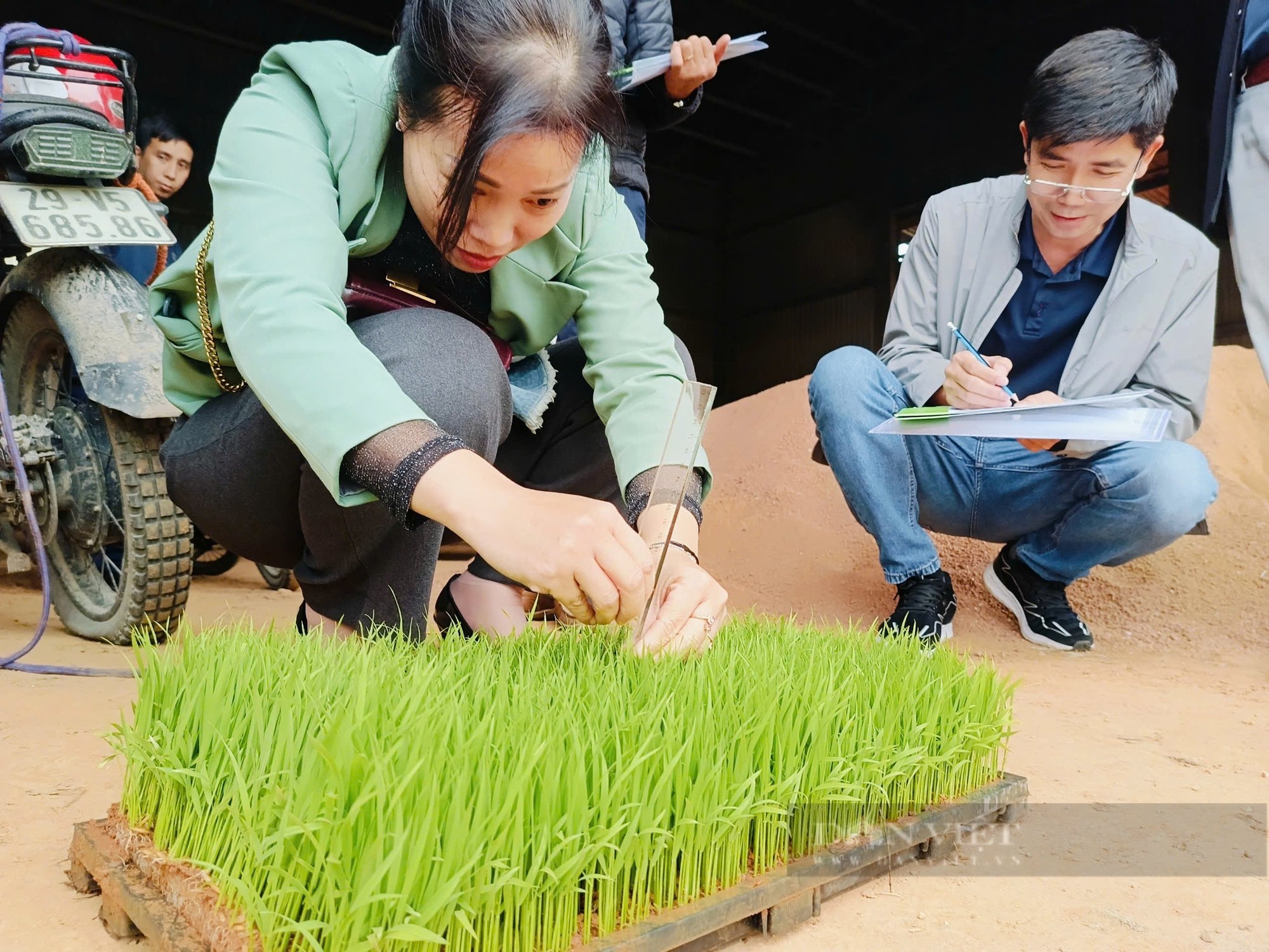 Nông dân hào hứng dự hội thi gieo mạ kiểu mới giúp giảm được 50% công cấy lại tiết kiệm giống, lúa lớn nhanh - Ảnh 3.