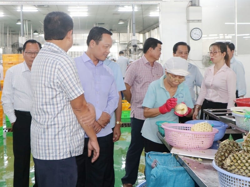 Provincial Party Secretary Tran Tien Dung surveyed at Quoc Thao Company Limited.