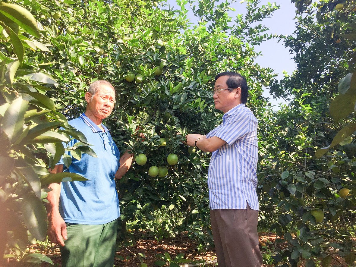 មនុស្សដែលស្រលាញ់ទឹកដី Hai Lang