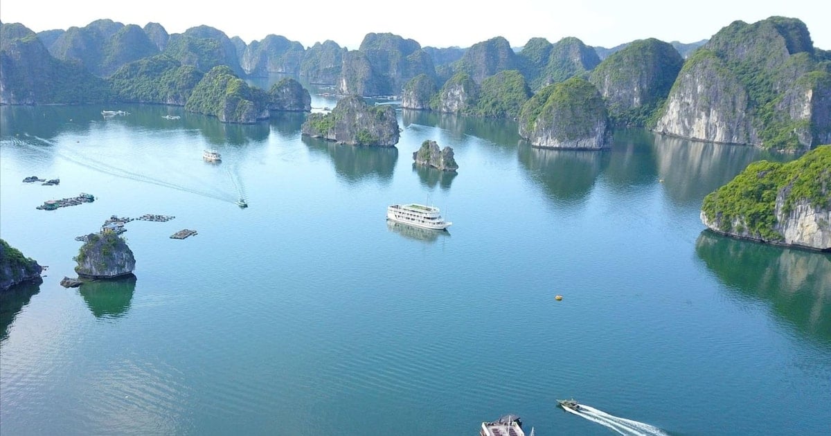 Cat Ba tourism flourishes in the new year