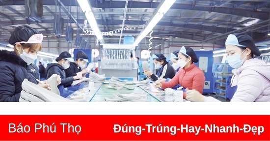 Hạ Hòa tập trung phát triển kinh tế