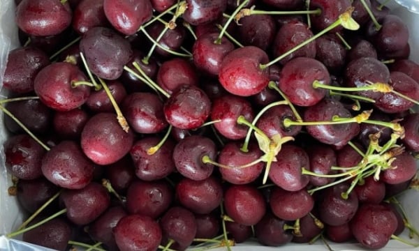 Cherry Chile về Việt Nam 'rẻ chưa từng có'