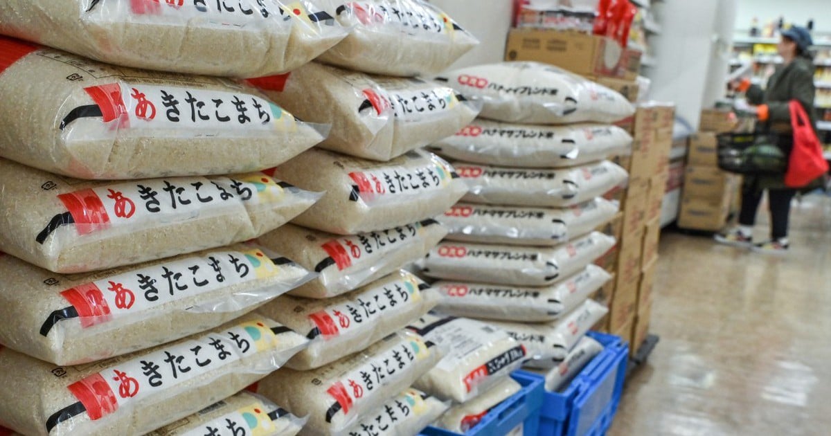 Le Japon ouvre pour la première fois des réserves de riz en prévision d'une situation d'urgence due aux prix élevés