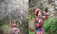 Tuyen Quang girl poses in the middle of a plum garden as beautiful as a fairy tale