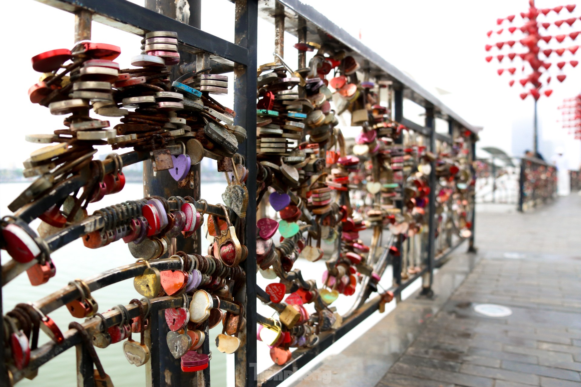 Love locks on a special bridge in Da Nang on Valentine's Day photo 15