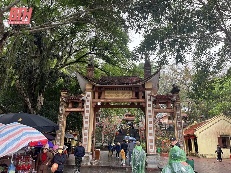 Nhộn nhịp tour “lên rừng, xuống biển”