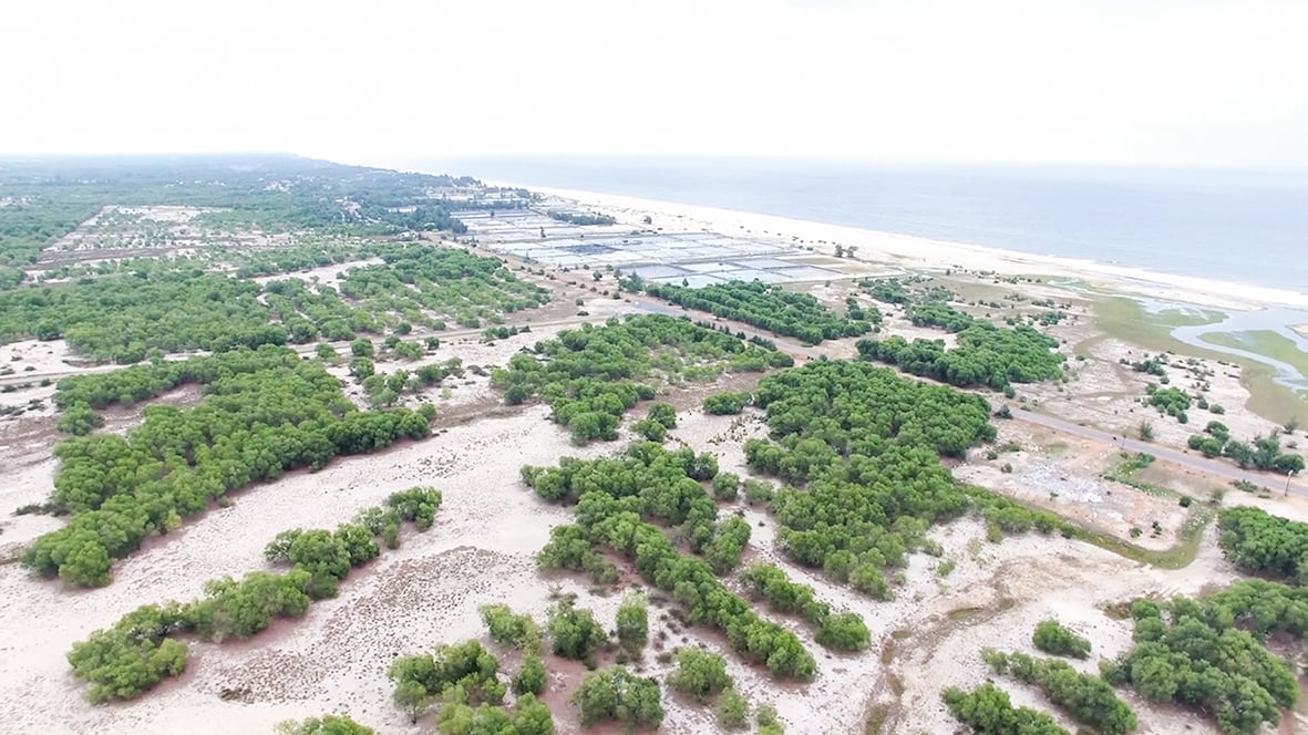 Speeding up the progress of the groundbreaking of Trieu Phu Multi-Industry Industrial Park project