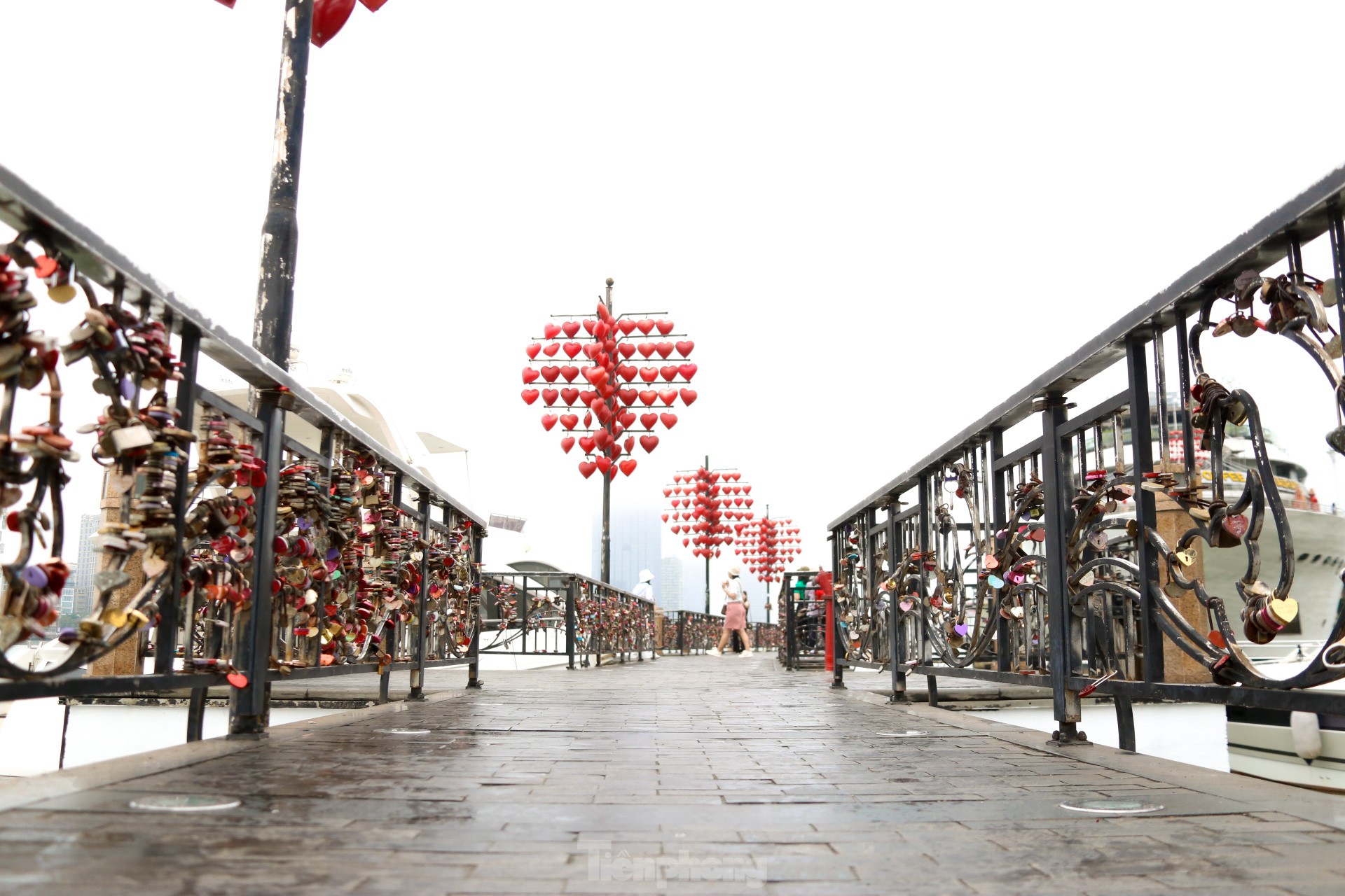 Love locks on a special bridge in Da Nang on Valentine's Day photo 14