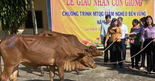 ビンフオックの少数民族世帯は、牛の飼育、家屋、井戸のおかげで貧困から脱出している...