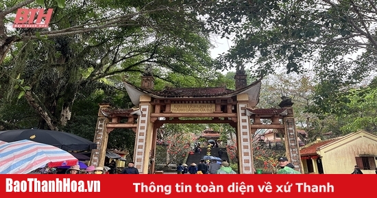 Nhộn nhịp tour “lên rừng, xuống biển”