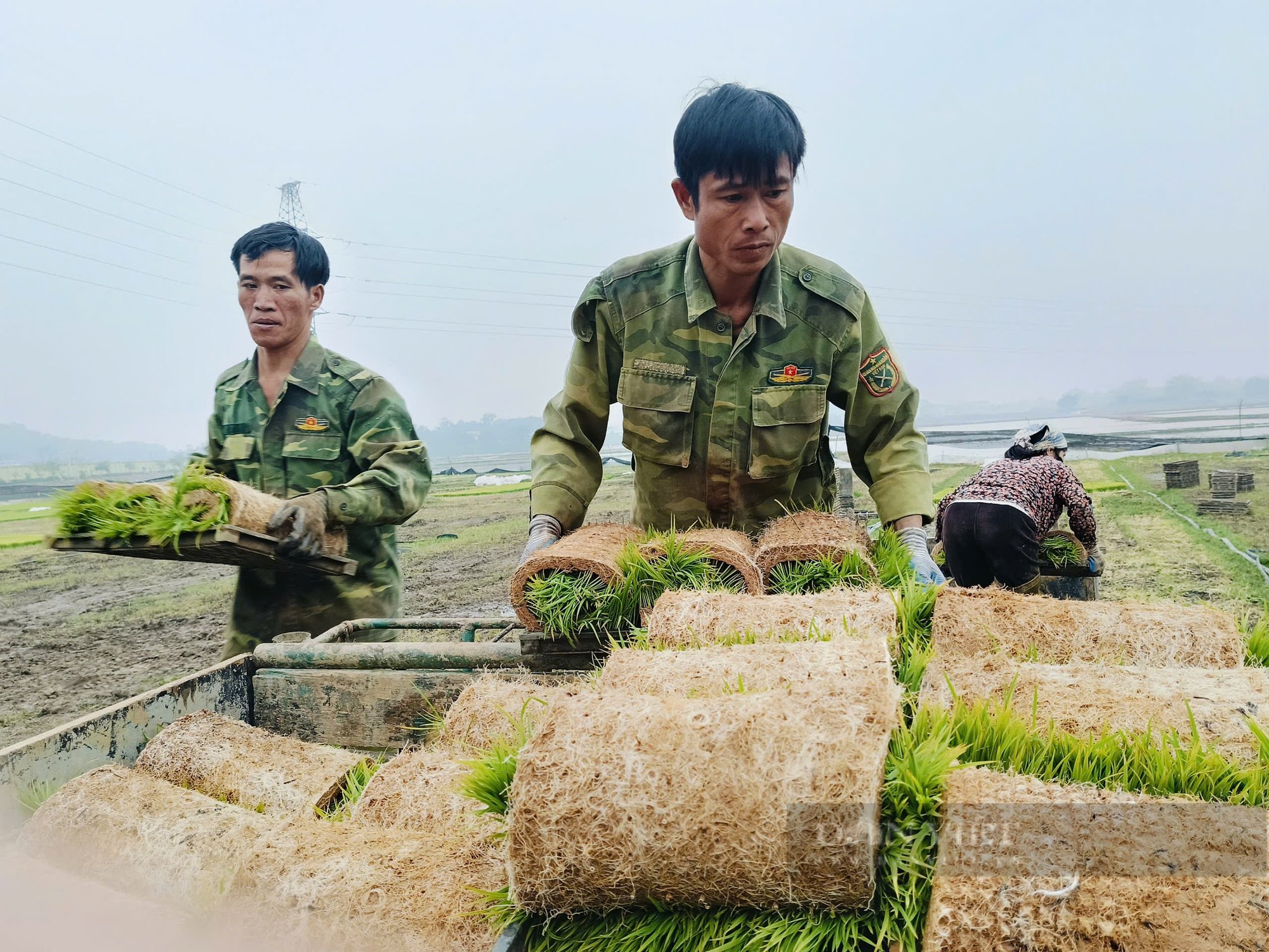 Nông dân hào hứng dự hội thi gieo mạ kiểu mới giúp giảm được 50% công cấy lại tiết kiệm giống, lúa lớn nhanh - Ảnh 5.