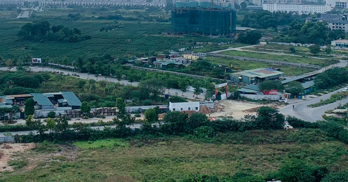 Handing over nearly 12,000m2 of land to Dong Anh district to expand Van Ha Primary School